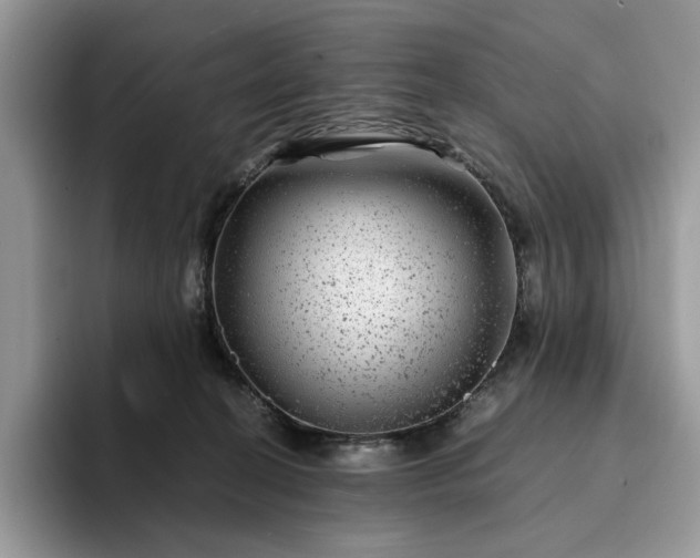 X0000094180274200711091148