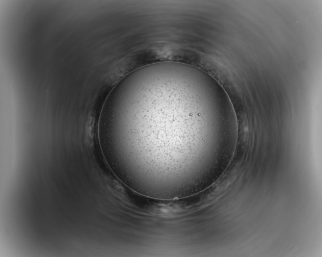 X0000094180275200711091148