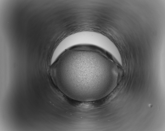 X0000094180280200711091148