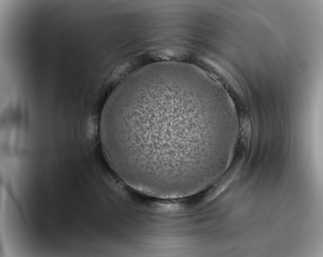 X0000094180284200711091148
