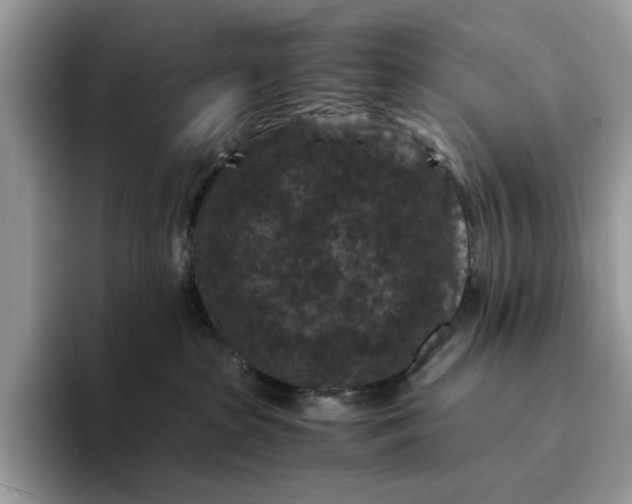 X0000094180285200711091148