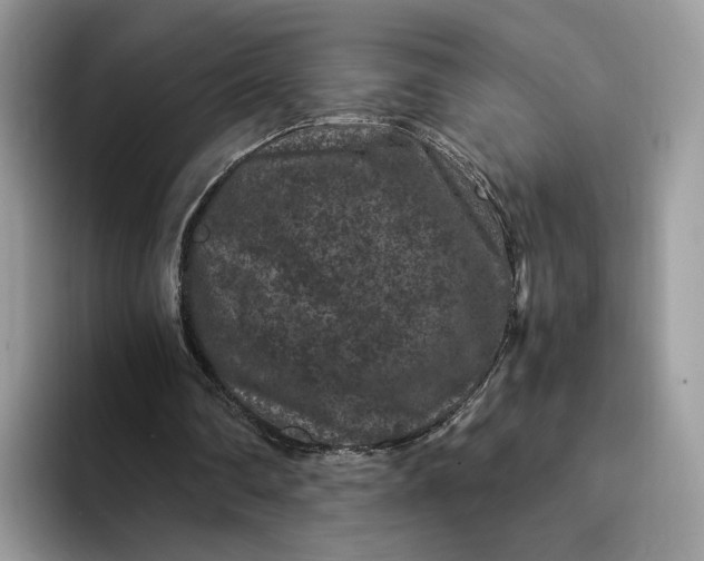 X0000094180290200711091147