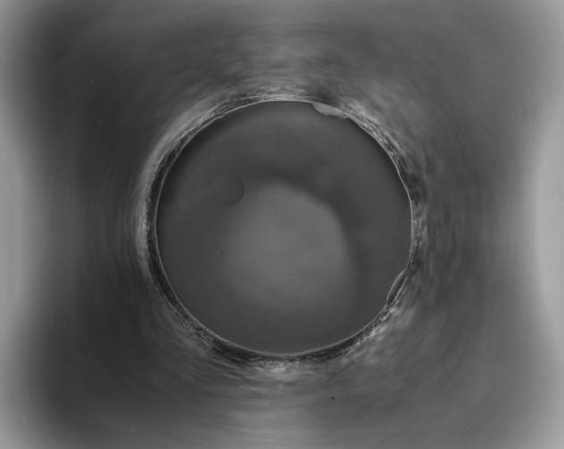 X0000094180293200711091147