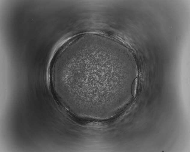 X0000094180294200711091147