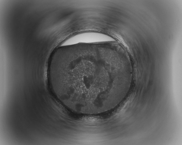 X0000094180299200711091147