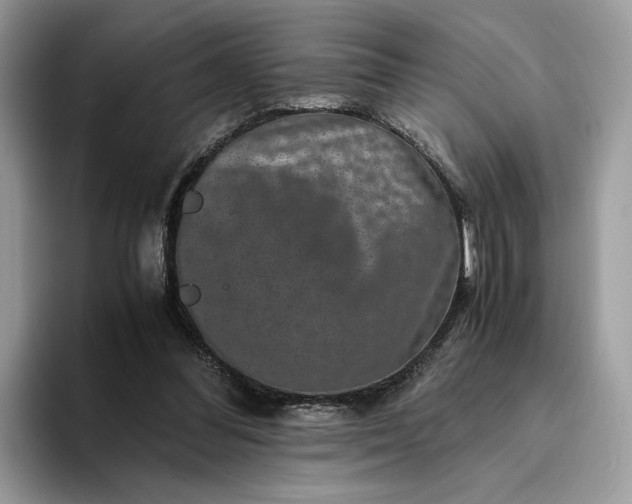 X0000094180300200711091147