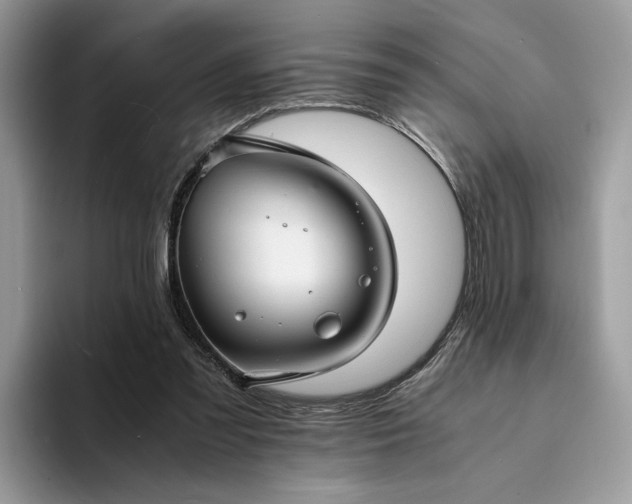 X0000094180301200711091147