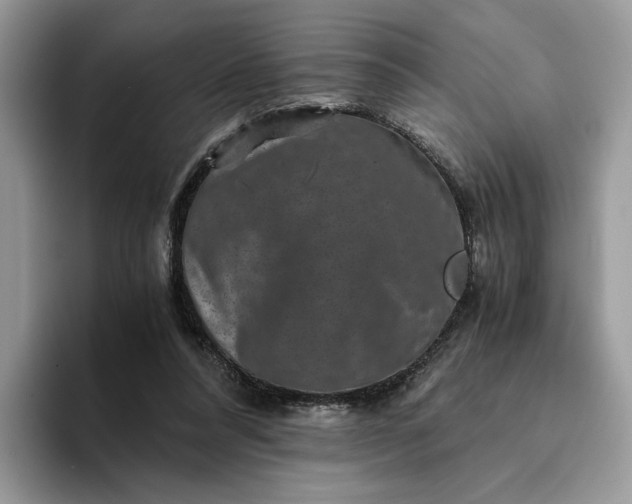 X0000094180304200711091147