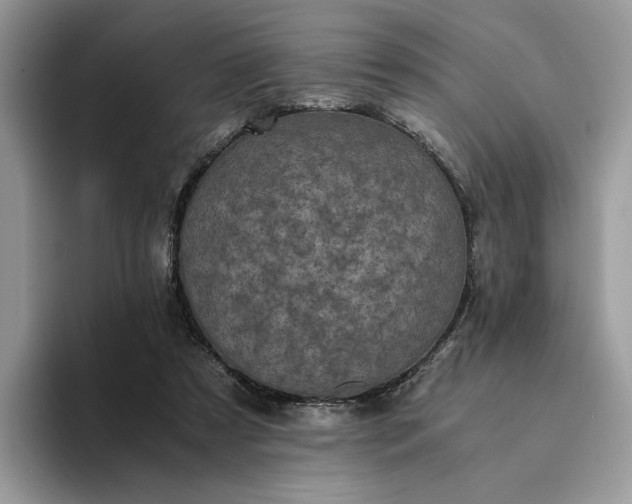 X0000094180305200711091147