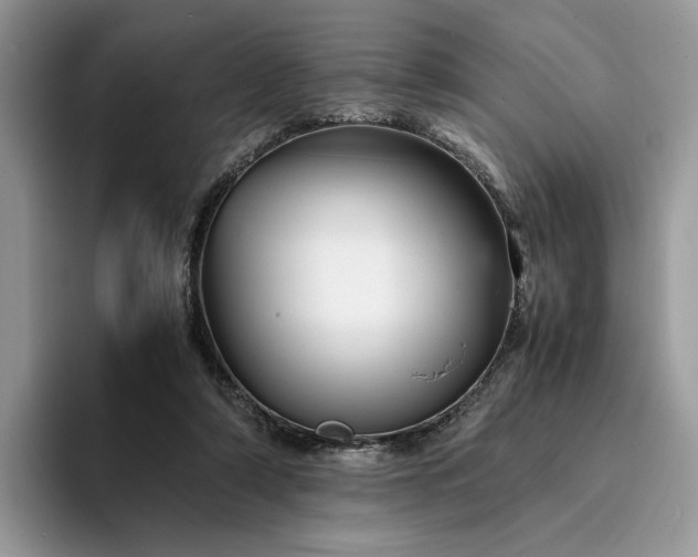 X0000094180306200711091147