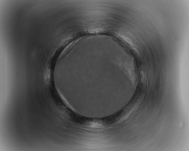X0000094180308200711091147