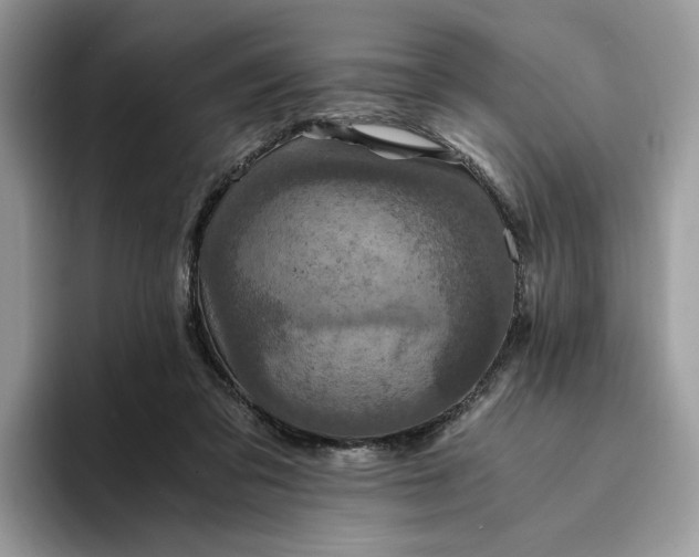 X0000094180309200711091147