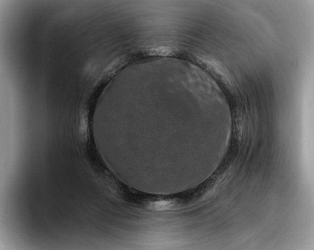 X0000094180312200711091147