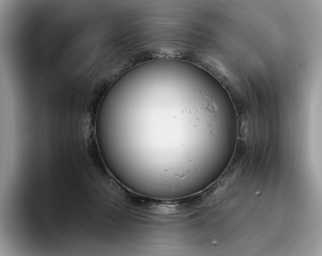 X0000094180318200711091147