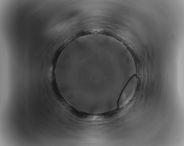 X0000094180319200711091147