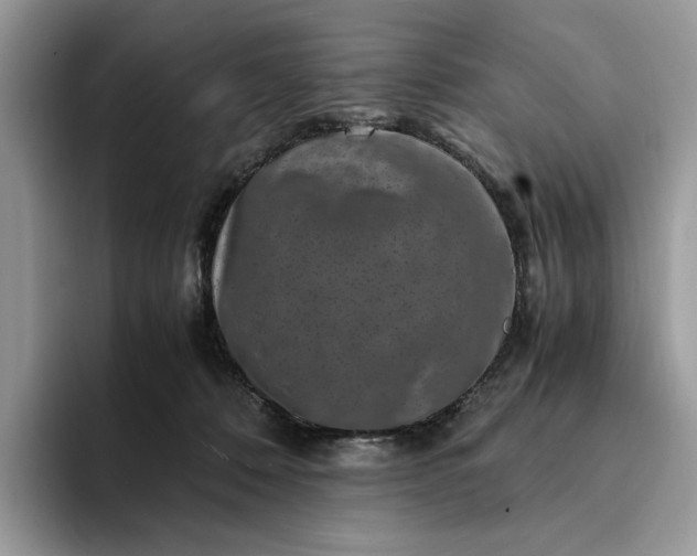 X0000094180320200711091147