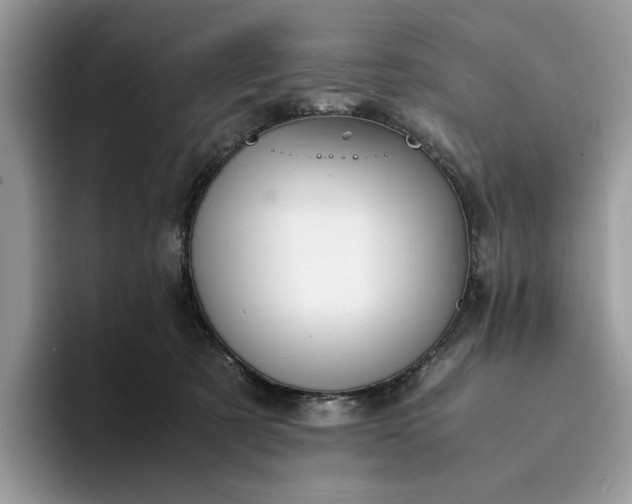 X0000094180321200711091147