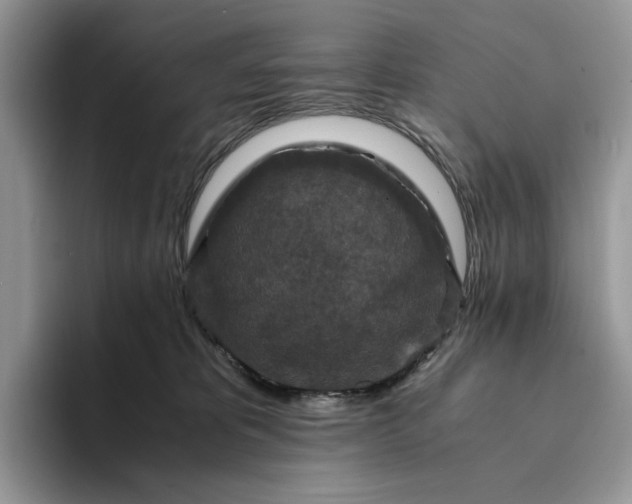 X0000094180325200711091147