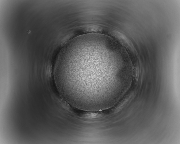 X0000094180326200711091147