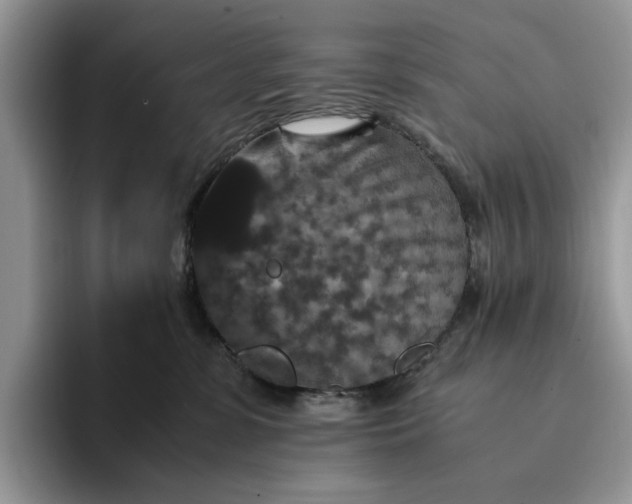 X0000094180331200711091147