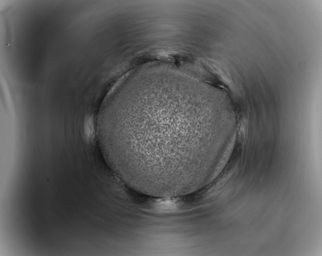X0000094180335200711091147