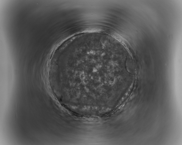 X0000094180337200711091146