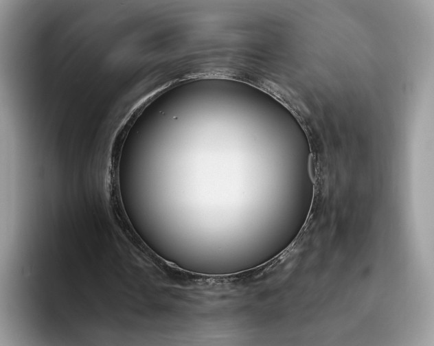 X0000094180338200711091146