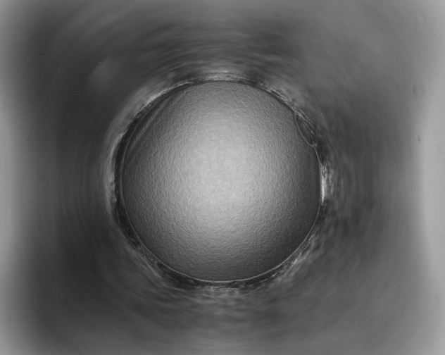 X0000094180339200711091146