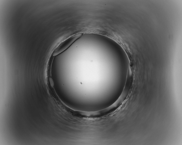 X0000094180340200711091146