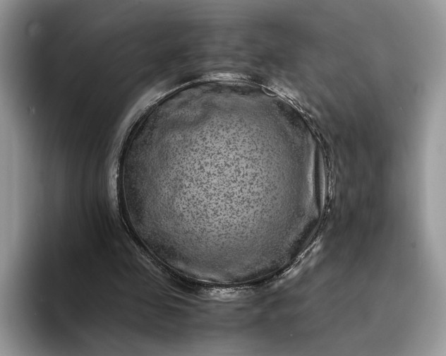 X0000094180341200711091146