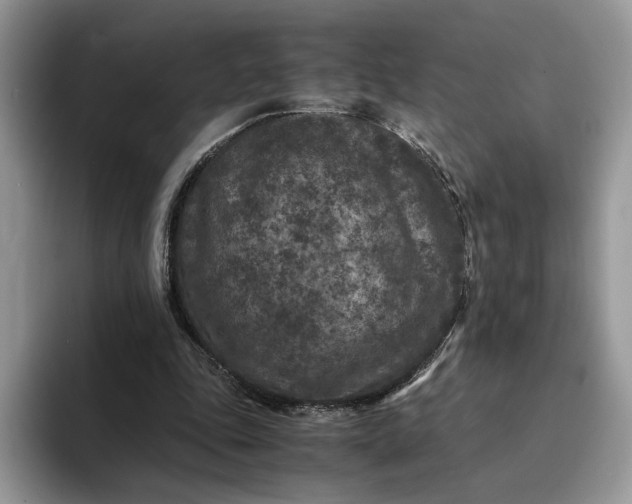 X0000094180343200711091146