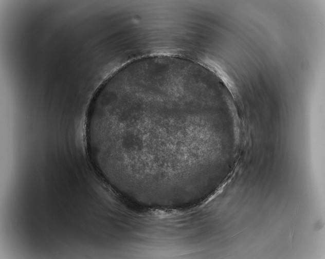 X0000094180346200711091146