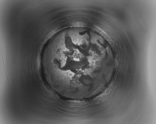 X0000094180347200711091146