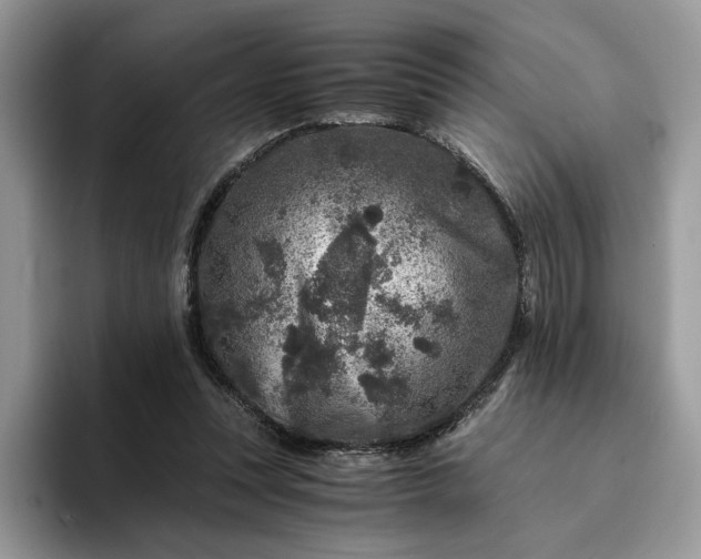 X0000094180351200711091146