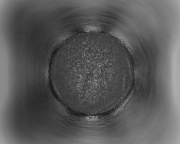 X0000094180353200711091146