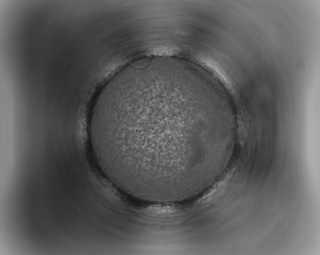 X0000094180354200711091146