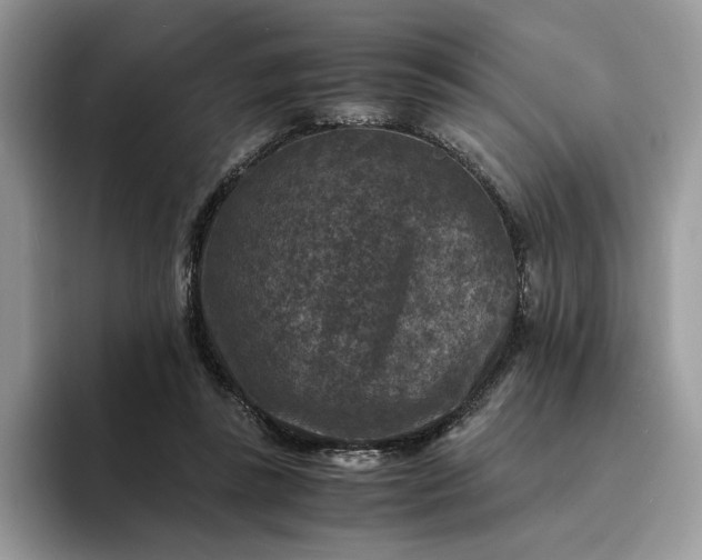 X0000094180355200711091146