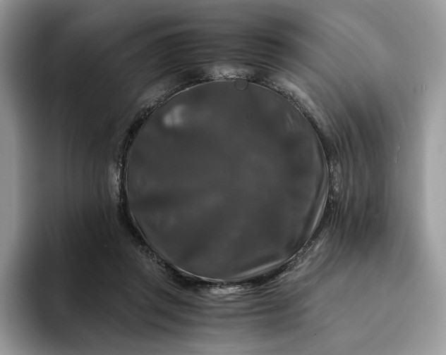 X0000094180357200711091146