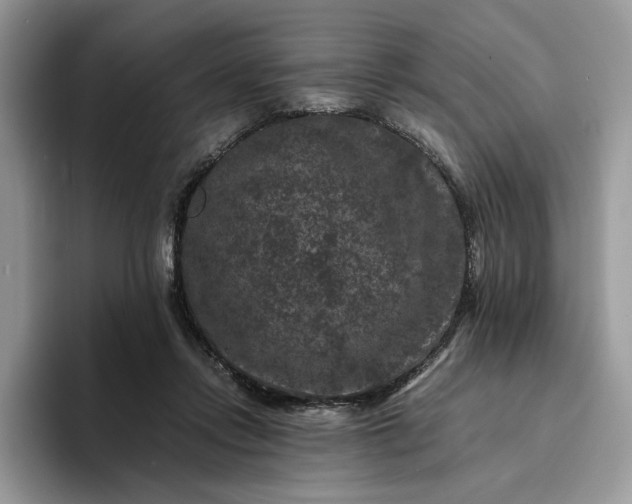 X0000094180358200711091146