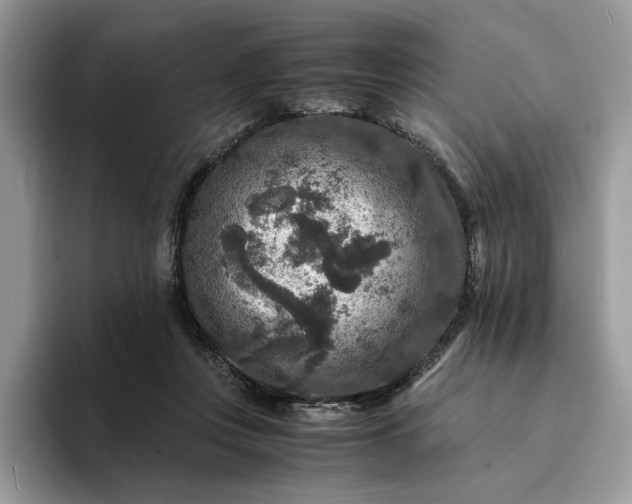 X0000094180359200711091146