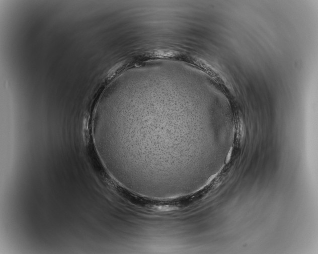 X0000094180360200711091146