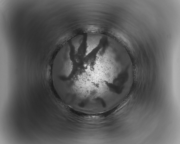 X0000094180361200711091146