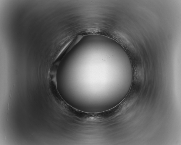 X0000094180364200711091146