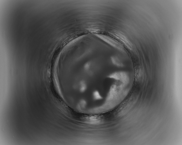 X0000094180365200711091146