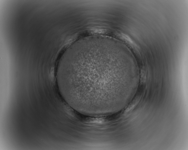 X0000094180377200711091147