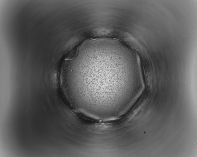 X0000094180378200711091147