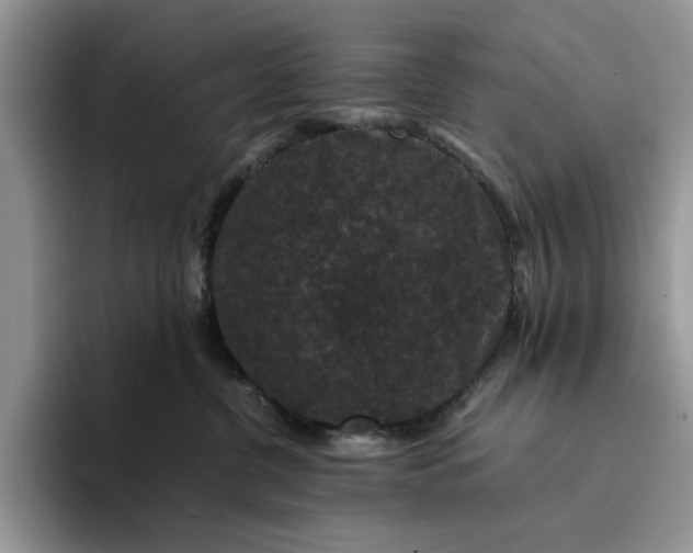 X0000094180380200711091147
