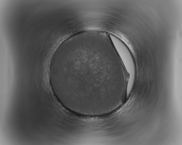 X0000094180385200711091146