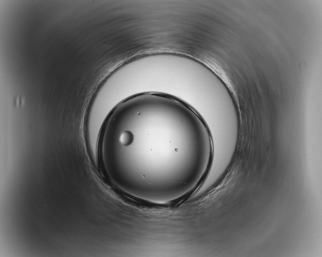 X0000094180389200711091146