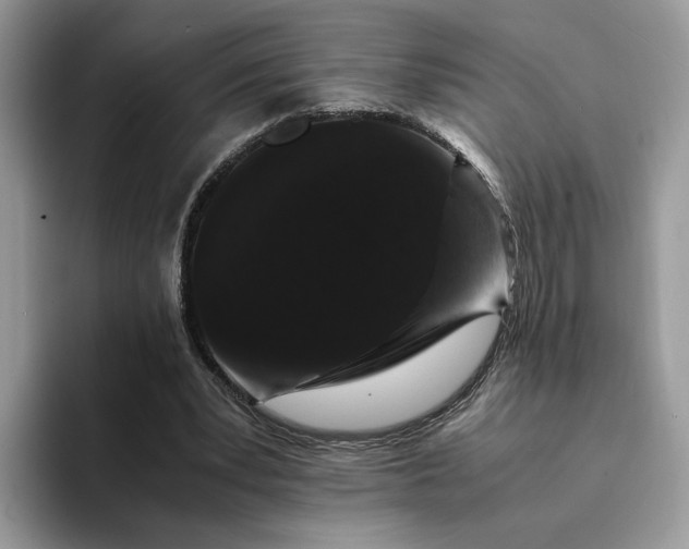 X0000094180391200711091146